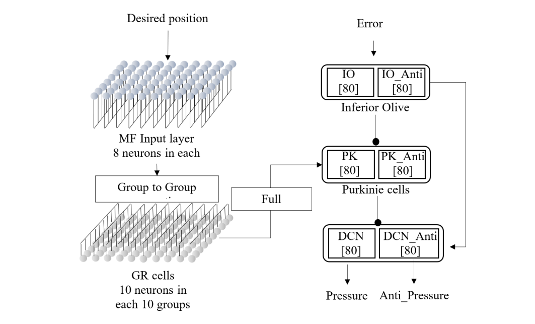 Control of Pneumatic Artificial Muscles with SNN-based Cerebellar-Like Model